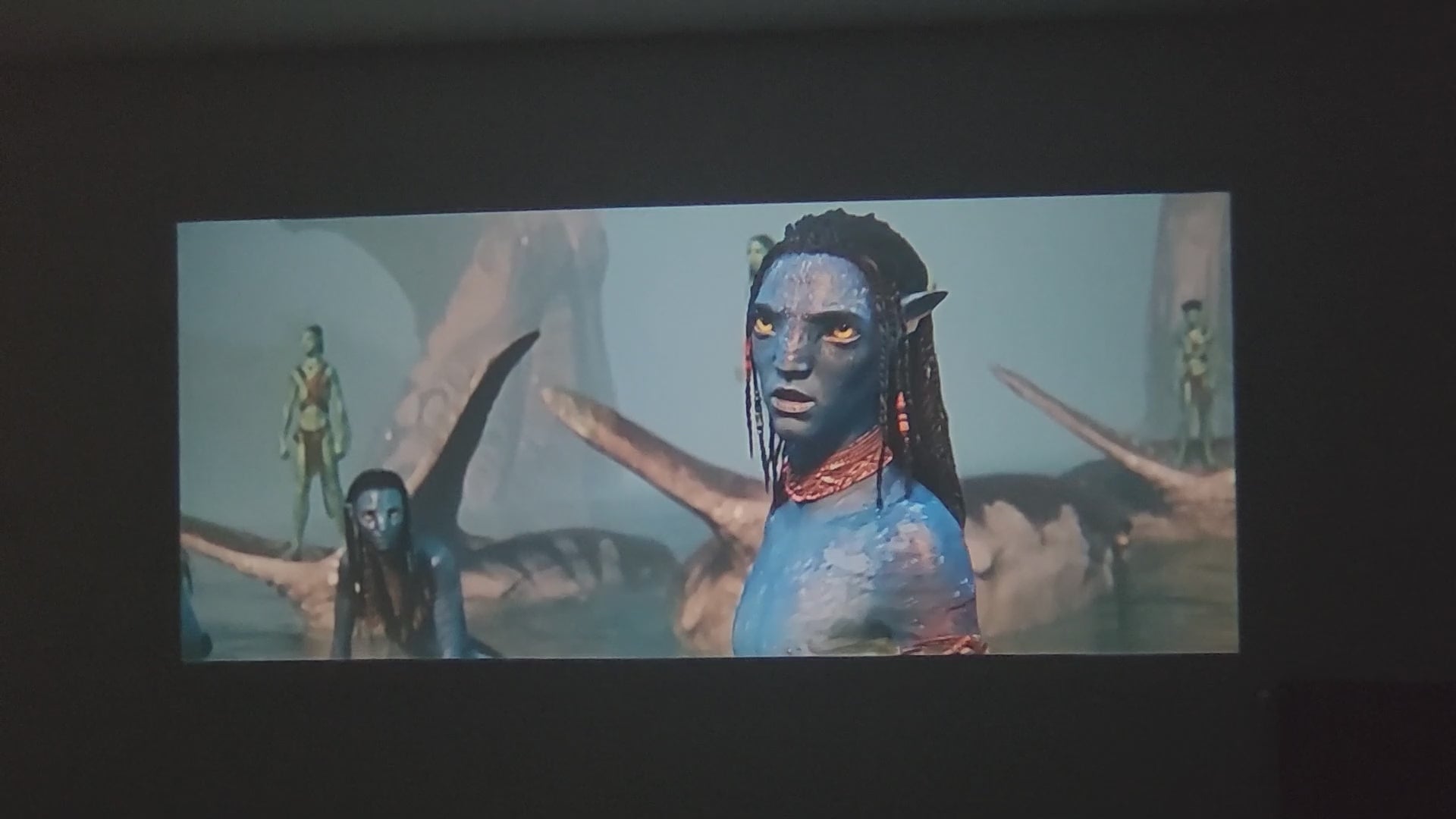 Charger la vidéo : 